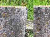 image of grave number 525528